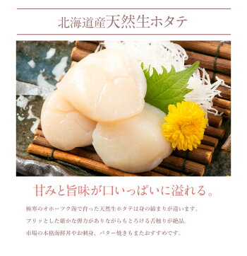 【先着10購入限定・15%OFF】海鮮グルメセット-絆-