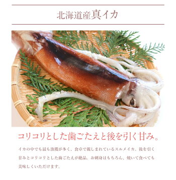 【先着10購入限定・18%OFF】海鮮グルメセット-舌鼓-