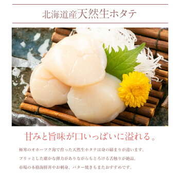 【先着10購入限定・18%OFF】海鮮グルメセット-舌鼓-