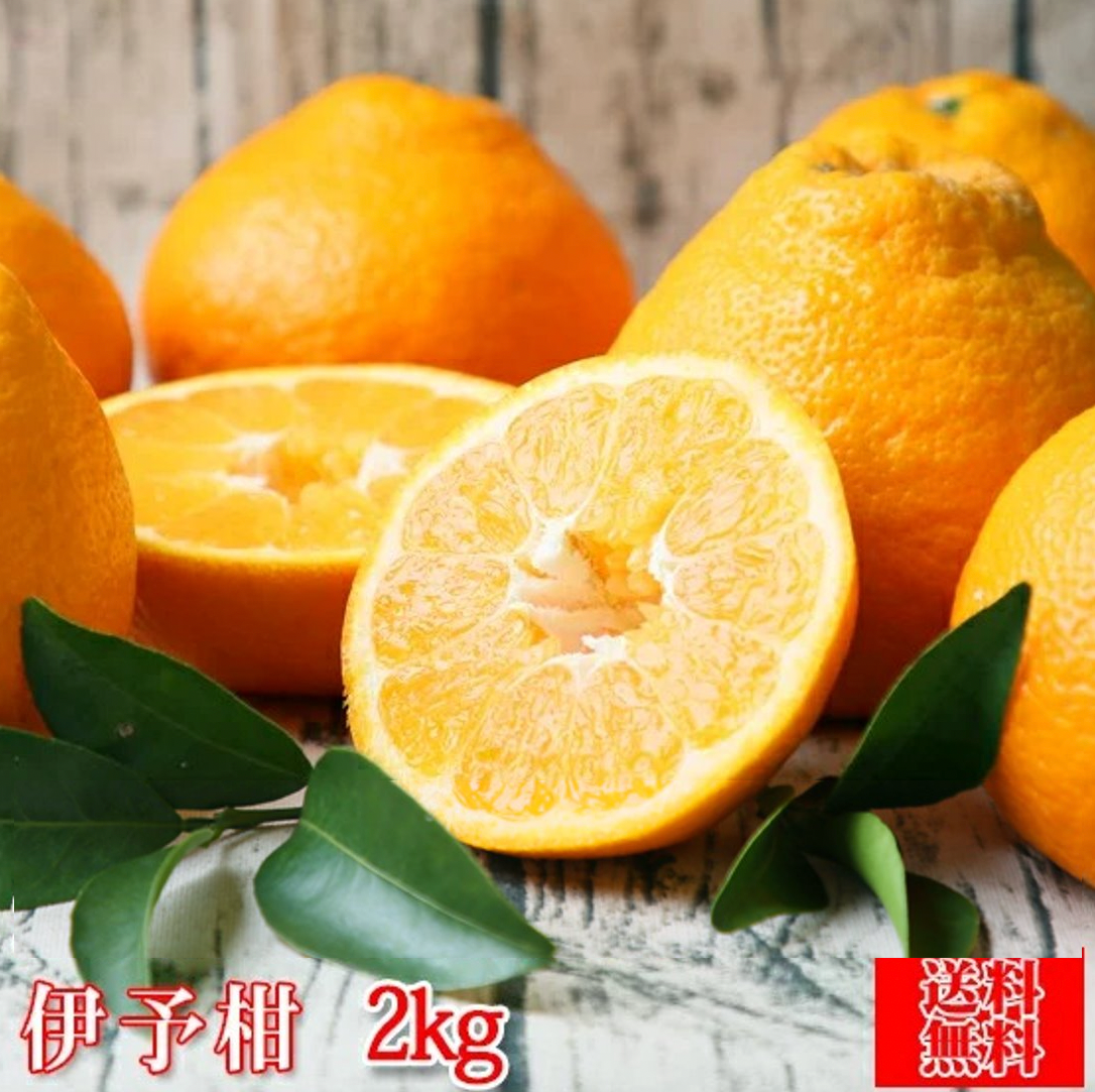 伊予柑 2kg