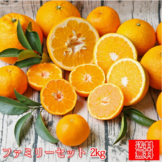 吉田みかん 詰め合わせ ファミリーセット 2kg