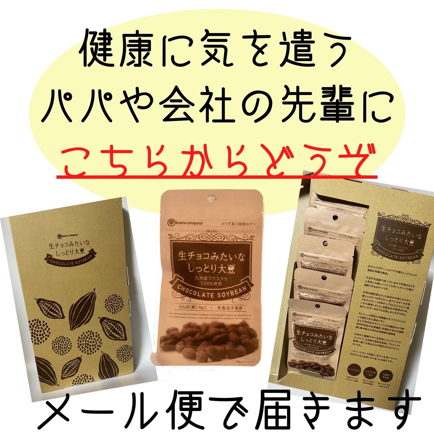 送料無料 和風 小分け 可愛い 大豆 チョコレート 会社 健康チョコ ダイエットチョコ ヘルシーチョコ 【ギフト★生チョコみたいなしっとり大豆10袋入】母の日 父の日