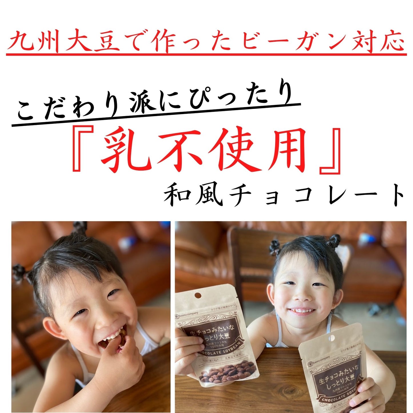送料無料 和風 小分け 可愛い 大豆 チョコレート 会社 健康チョコ ダイエットチョコ ヘルシーチョコ 【ギフト★生チョコみたいなしっとり大豆10袋入】母の日 父の日