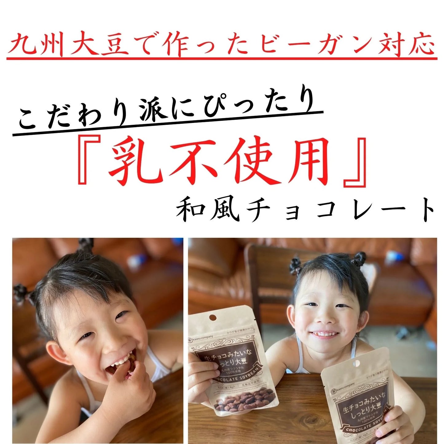 送料無料 和風 小分け 可愛い 大豆 チョコレート 会社 健康チョコ ダイエットチョコ ヘルシーチョコ 【ギフト★生チョコみたいなしっとり大豆10袋入】母の日 父の日