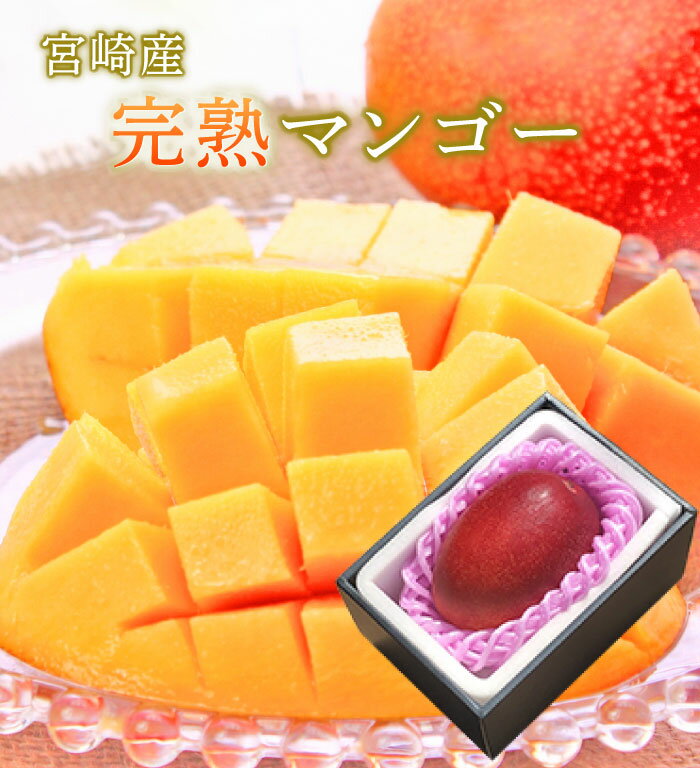 宮崎産 完熟マンゴー 秀品 2Lサイズ 1玉入り