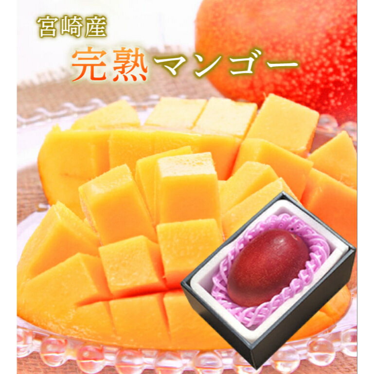 マンゴー 宮崎産 完熟マンゴー 秀品 大玉 4Lサイズ 1玉入り