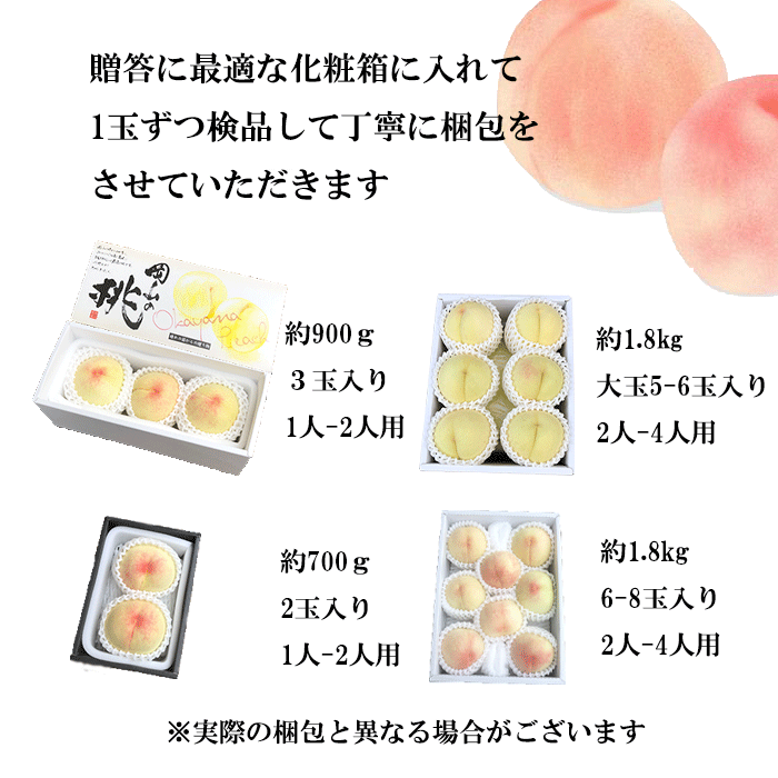 岡山産 白桃 エース 約900g 3玉入り