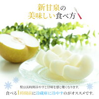 送料無料 鳥取産 新甘泉 赤秀品 10-16玉 約5キロ