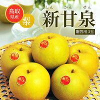送料無料 鳥取産 新甘泉 赤秀品 10-16玉 約5キロ