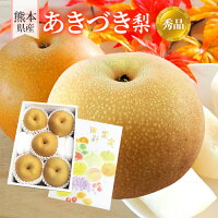 【9月上旬順次発送】送料無料 熊本産 赤秀 あきづき 5キロ 12-16玉入り