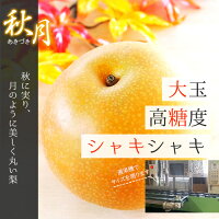 送料無料 熊本産 あきづき 2.5キロ 5-10玉入りサイズおまかせ