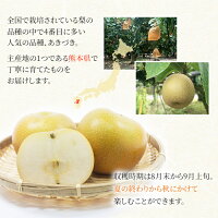 送料無料 熊本産 あきづき 2.5キロ 5-10玉入りサイズおまかせ