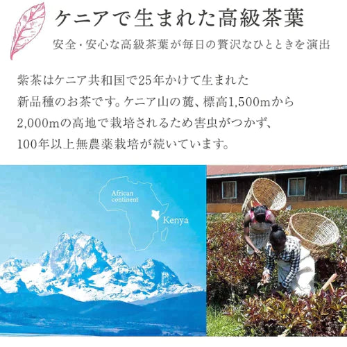 健康&美容茶【天空の紫茶】※賞味期限間近のため特別価格