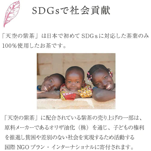 健康&美容茶【天空の紫茶】※賞味期限間近のため特別価格