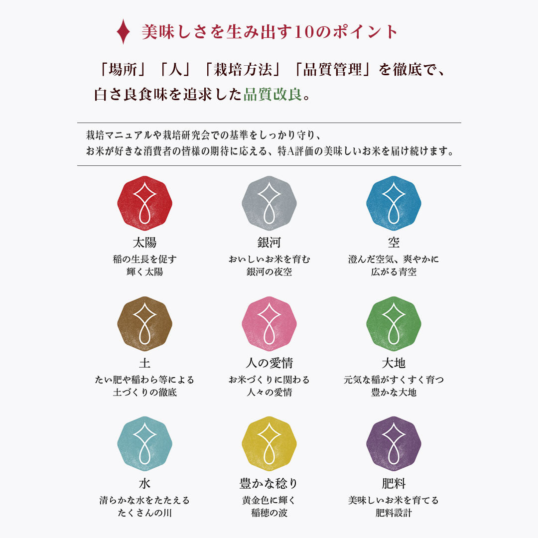 米 岩手県産 銀河のしずく 10kg (5kg×2) 令和5年産 新米 お米 白米 おくさま印 国産 食品 ギフト 引っ越し 挨拶 出産 内祝い 母の日 父の日 お中元 お歳暮 結婚 快気 還暦 香典返し お年賀 送料無料