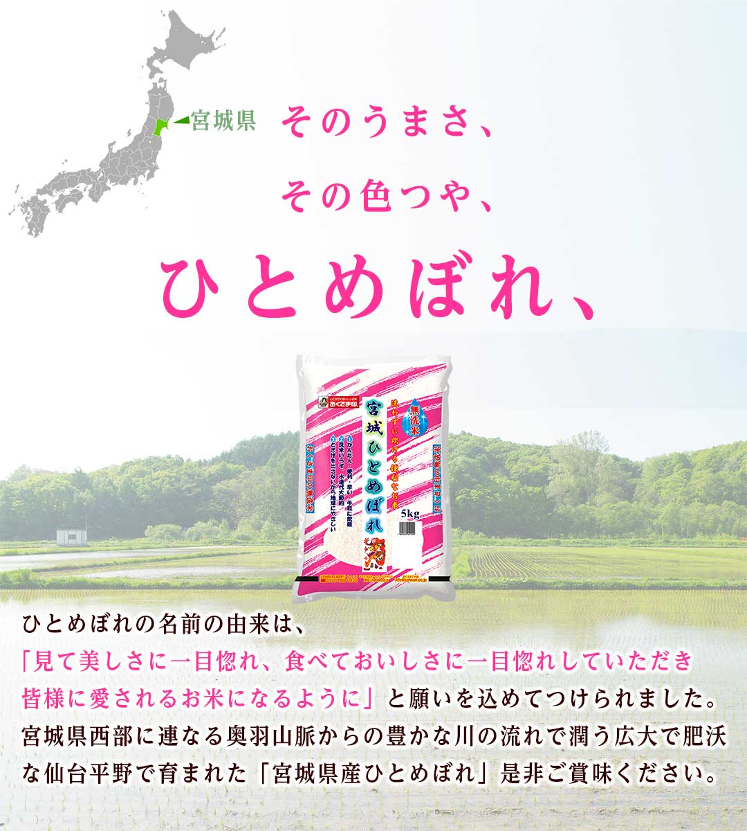 無洗米 米 宮城県産 ひとめぼれ 10kg (5kg×2) 令和5年産 新米 お米 白米 おくさま印 国産 食品 ギフト 引っ越し 挨拶 出産 内祝い 母の日 父の日 お中元 お歳暮 結婚 快気 還暦 香典返し お年賀 送料無料
