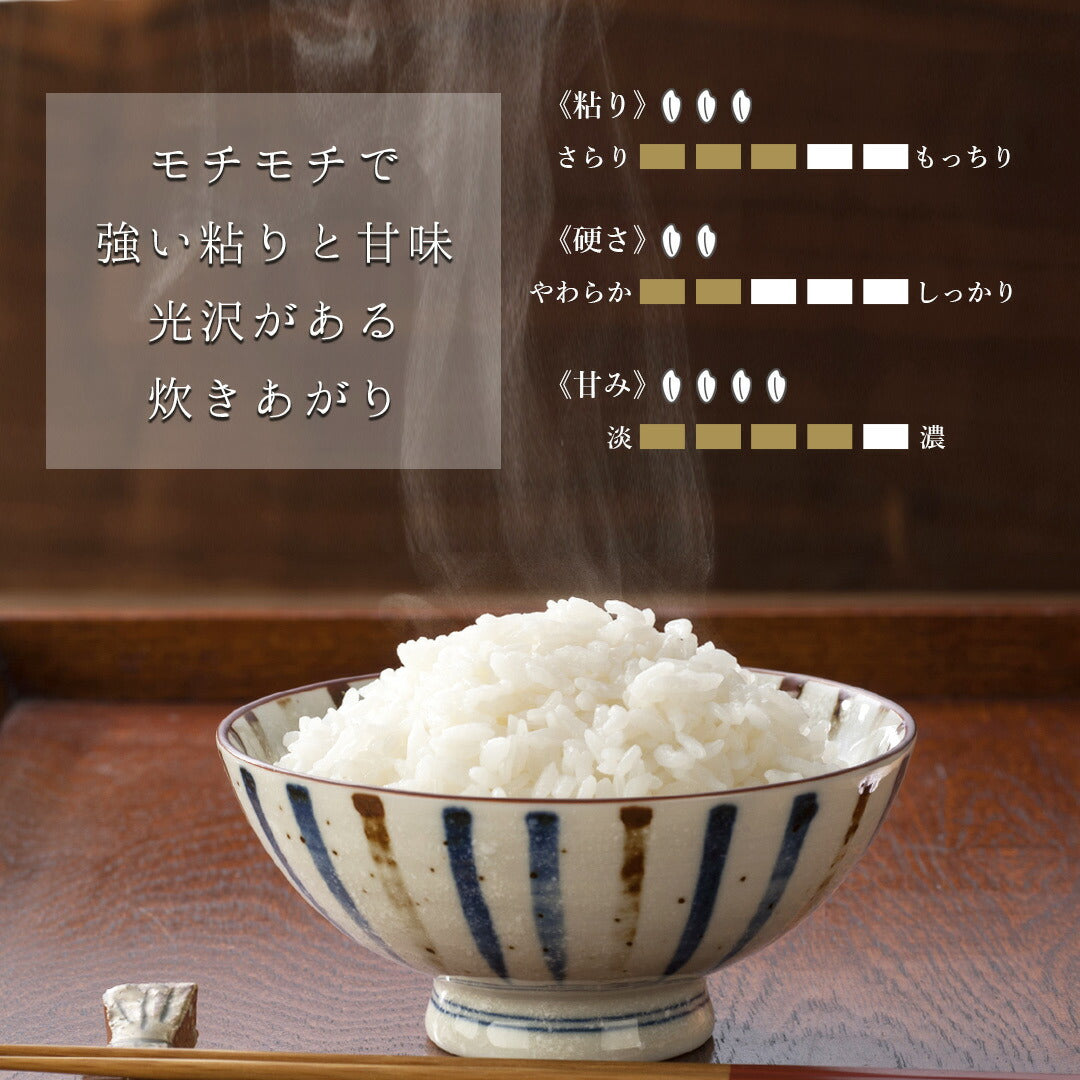 無洗米 米 宮城県産 ひとめぼれ 5kg 令和5年産 新米 お米 白米 おくさま印 国産 食品 ギフト 引っ越し 挨拶 出産 内祝い 母の日 父の日 お中元 お歳暮 結婚 快気 還暦 香典返し 寒中 暑中見舞い お年賀 送料無料