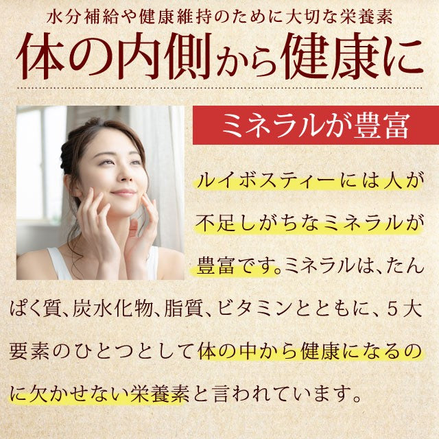 100包 ルイボスティー