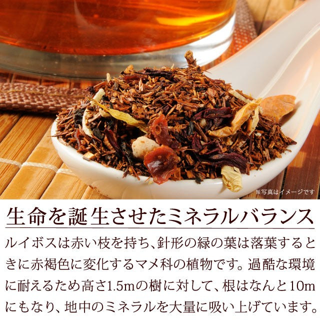 100包 ルイボスティー