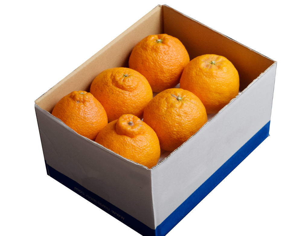 デコポン でこぽん 熊本県産 約1.2kg 4~6玉