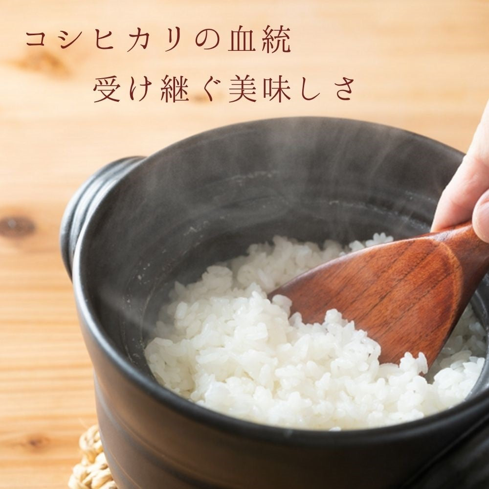 【限定クーポンで20%OFF】【受注精米】 お米 【 新潟県産 こしいぶき 】 令和3年産 米 10kg 10キロ ( 5kg x2袋) 白米