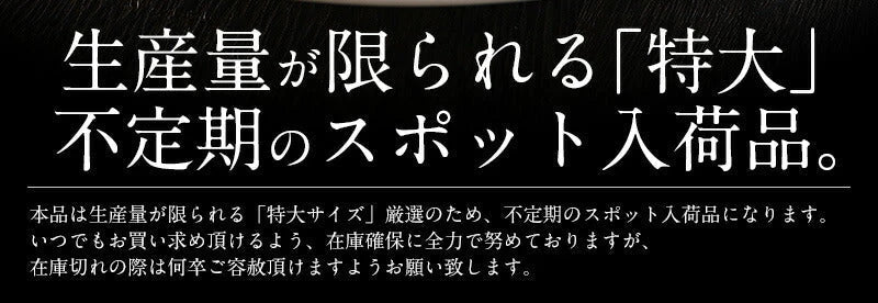 特大訳ありホタテ！ ホタテ ほたて 貝柱 特大 1kg 訳あり（割れ 欠け サイズ不揃い） ほたて貝柱 ホタテ貝柱 ほたて 帆立 海鮮［送料無料］ 母の日 プレゼント ギフト  母の日思いの 健康 実用的 父の日 子供