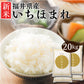 米 精米 福井県産 いちほまれ 20kg (5kg×4) 令和5年産 新米 お米 白米 おくさま印 国産 食品 ギフト 引っ越し 挨拶 出産 内祝い 母の日 父の日 お中元 お歳暮 結婚 快気 還暦 香典返し お年賀 送料無料