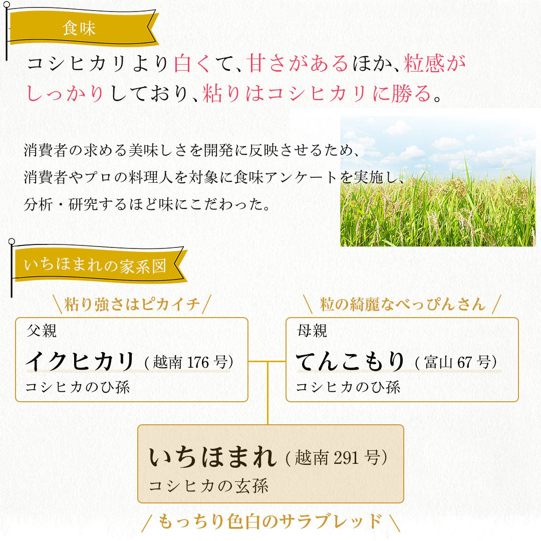 米 精米 福井県産 いちほまれ 20kg (5kg×4) 令和5年産 新米 お米 白米 おくさま印 国産 食品 ギフト 引っ越し 挨拶 出産 内祝い 母の日 父の日 お中元 お歳暮 結婚 快気 還暦 香典返し お年賀 送料無料
