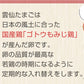 雲仙たまご10個×11