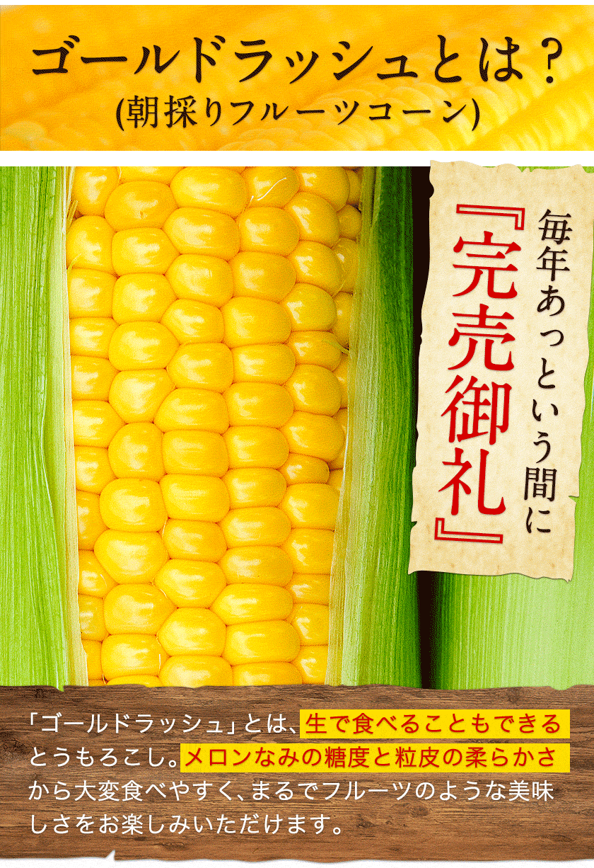 日本最速級6月中出荷 とうもろこし ゴールドラッシュ 7本入り (3L~L サイズ)