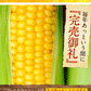日本最速級6月中出荷 とうもろこし ゴールドラッシュ 30本入り (3L~L サイズ) 約9.0kg～約10.5kg メロン並の甘さ 朝採り 生で食べられる トウモロコシ スイートコーン お取り寄せ