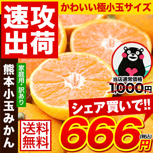 みかん 訳あり 小玉 1.7kg（熊本産 3s-s サイズ 家庭用）