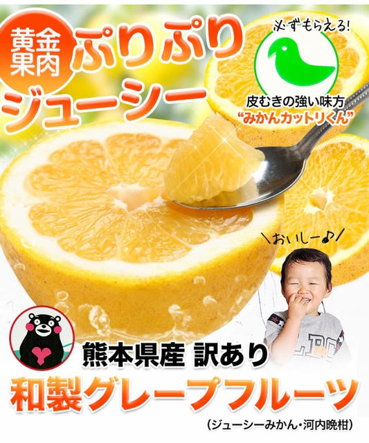 和製グレープフルーツ 河内晩柑 4kg グレープフルーツ 産地直送 河内 晩柑 熊本県産