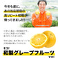 和製 グレープフルーツ 河内晩柑 10kg