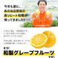 和製グレープフルーツ 河内晩柑 4kg グレープフルーツ 産地直送 河内 晩柑 熊本県産【エコ得】