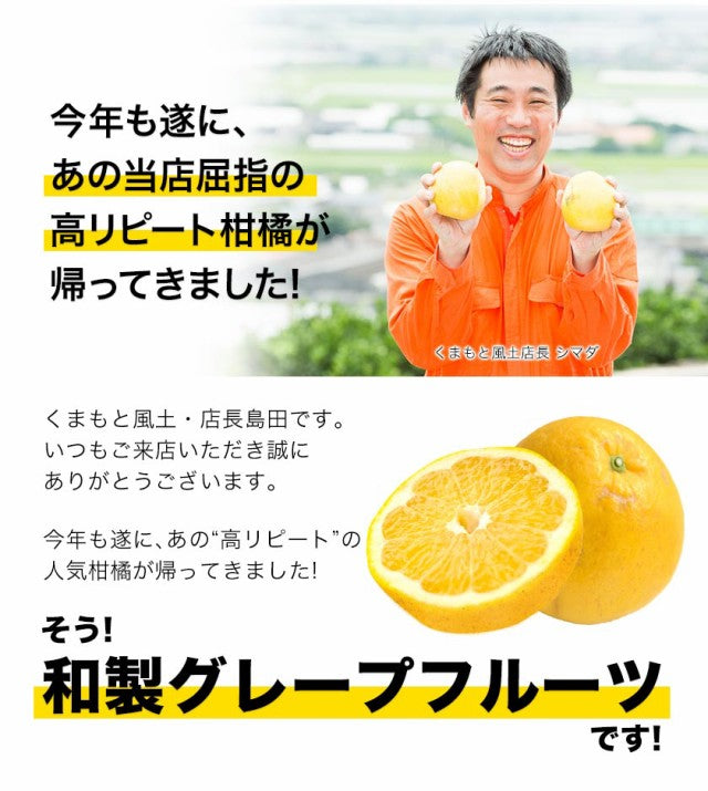 和製グレープフルーツ 河内晩柑 4kg グレープフルーツ 産地直送 河内 晩柑 熊本県産【エコ得】