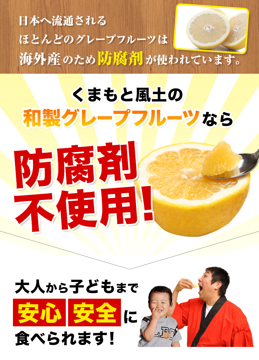 和製 グレープフルーツ 河内晩柑 10kg
