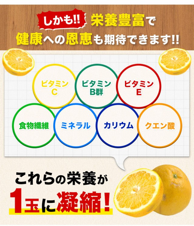 和製グレープフルーツ 河内晩柑 4kg グレープフルーツ 産地直送 河内 晩柑 熊本県産【エコ得】