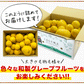 和製 グレープフルーツ 河内晩柑 10kg
