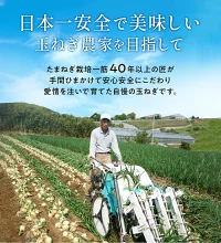 【送料無料】淡路島玉ねぎ 3キロ［Sサイズ～2Lサイズお任せ］＃訳ありたまねぎ3kg＃