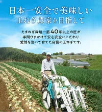 【カウシェうまいもん市場】【送料無料】淡路島玉ねぎ 3キロ［Sサイズ～2Lサイズお任せ］＃訳ありたまねぎ3kg＃