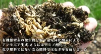 【100人シェア買いでお得】淡路島 新たまねぎ (訳)  2キロ　Sサイズ〜2Lサイズお任せ【超得ハイパーSALE】＃(訳)かくし玉2kg【購入特典】＃