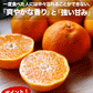 訳あり 甘熟 ポンカン 4kg