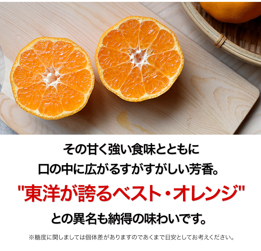 訳あり 甘熟 ポンカン 4kg