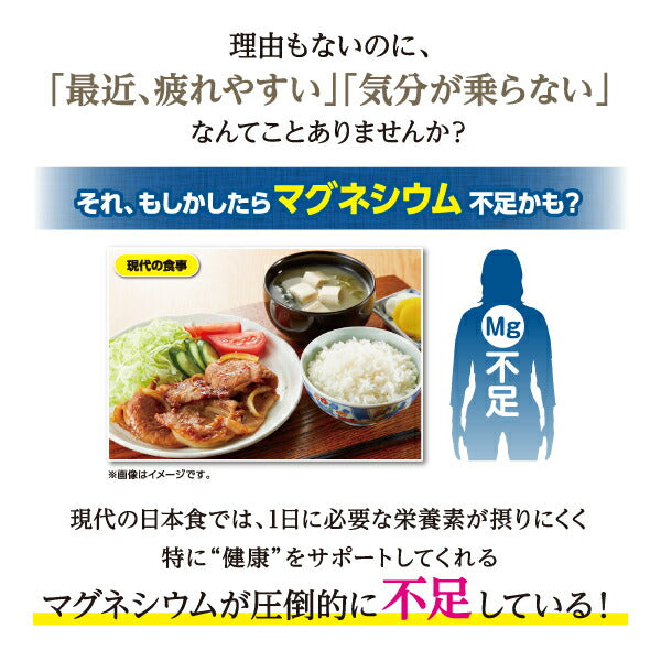【訳あり】【キズ・へこみ有り】【送料無料】Dydo ダイドー 和ノチカラ 有機レモン使用炭酸水 500ml×24本ダイドー 栄養機能食品 和のチカラ 健康 サポート レモン 炭酸水 マグネシウム アクスドクター 無糖