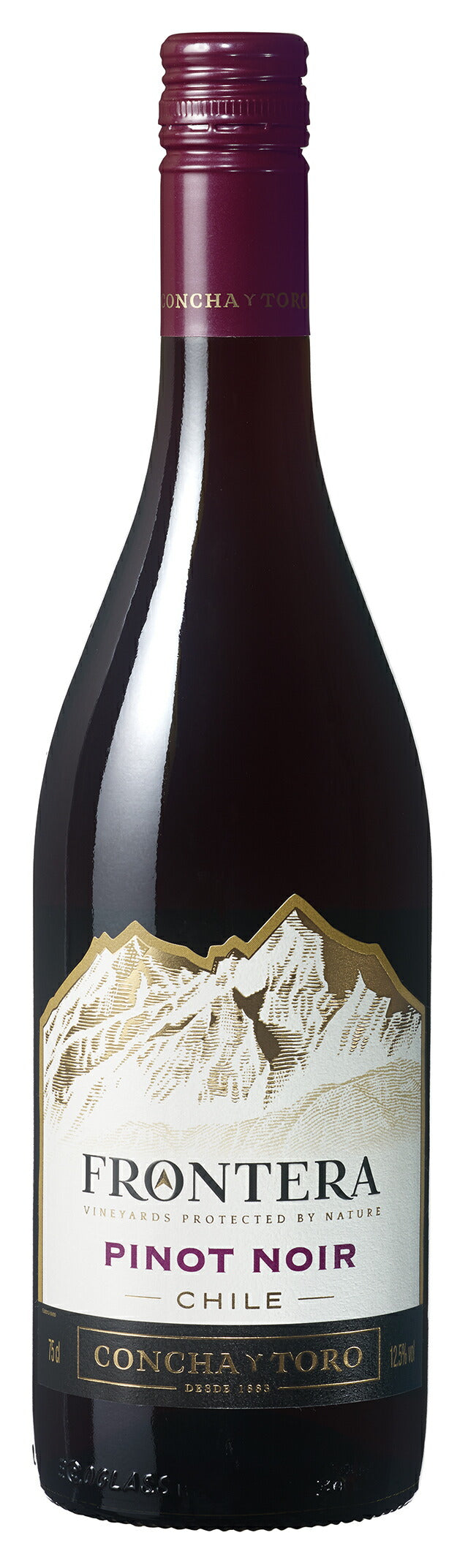コン・チャイ・トロ フロンテラ ピノ・ノワール 赤 750ml 1本【ご注文は12本まで同梱可能】