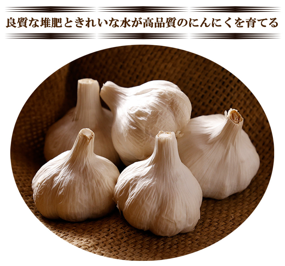 【最安値挑戦祭】にんにく ニンニク 乾燥にんにく 1kg バラ大粒 ガーリック 産地直送 国産 大分県日田産