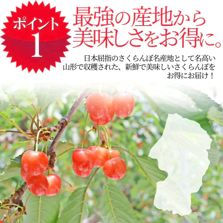 【6月下旬発送】 さくらんぼ 1kg お徳用 佐藤錦 or 紅秀峰 他 山形県産 バラ詰めお一人様2箱まで 家庭用 数量限定 産地直送 訳あり サイズ混合 送料無料 ※遠方へは別途送料がかかります 品種の指定はできません 果物 大特価【エコ得SALE】