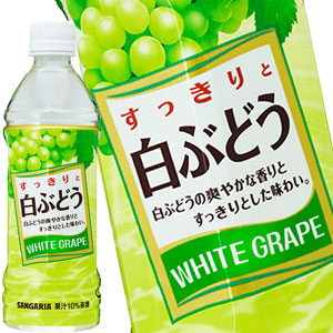 サンガリア すっきりと白ぶどう 500mlPET×24本［賞味期限:4ヶ月以上］北海道、沖縄、離島は送料無料対象外［送料無料］【5?8営業日以内に出荷】