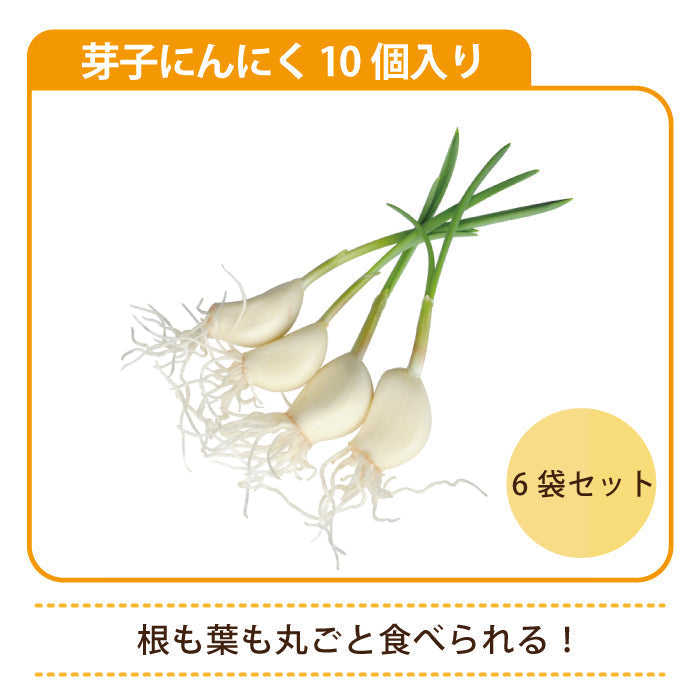芽子にんにく 10個入り×6袋 * (クール便)